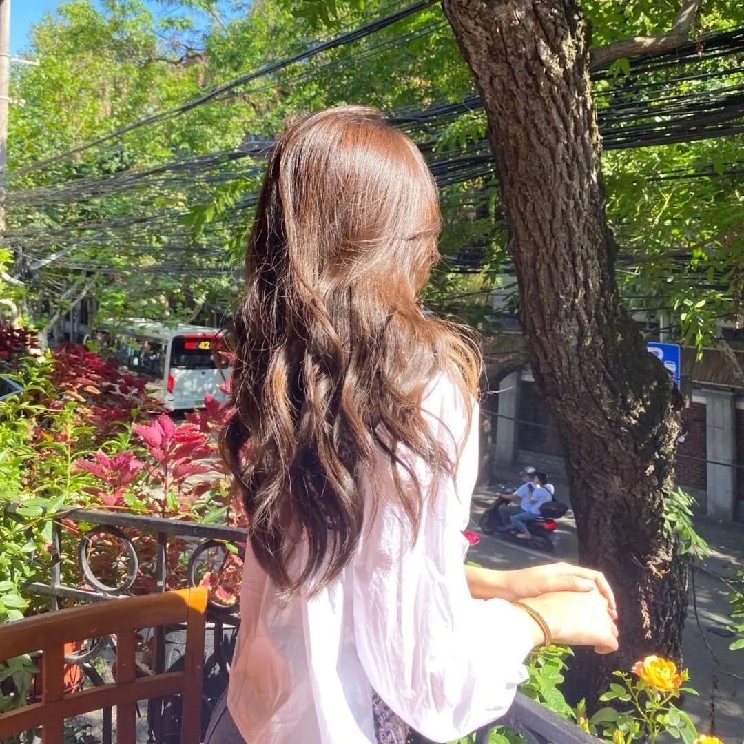 菊石